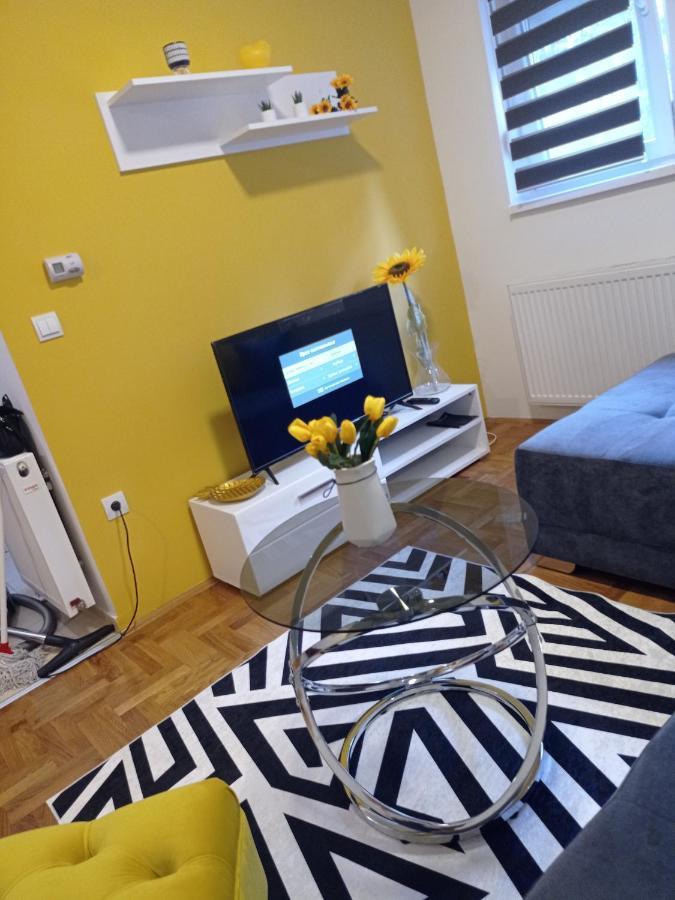 סרמסקה מיטרוביקה Apartman Sunflower מראה חיצוני תמונה