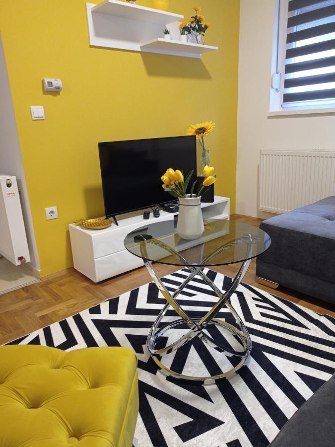 סרמסקה מיטרוביקה Apartman Sunflower מראה חיצוני תמונה
