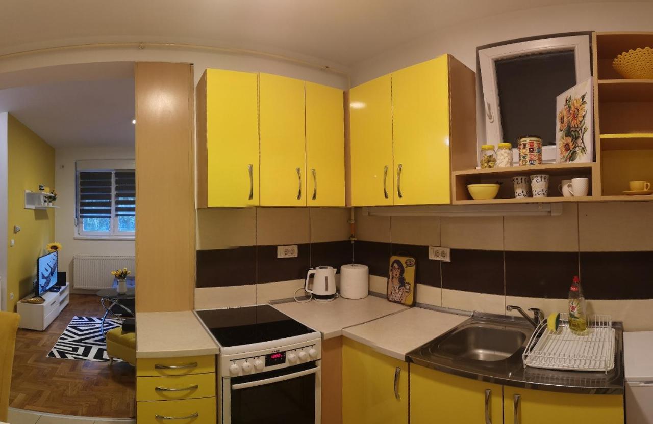 סרמסקה מיטרוביקה Apartman Sunflower מראה חיצוני תמונה
