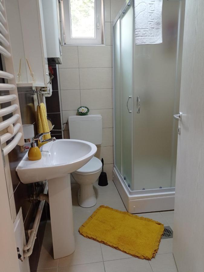 סרמסקה מיטרוביקה Apartman Sunflower מראה חיצוני תמונה