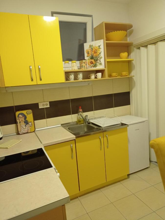 סרמסקה מיטרוביקה Apartman Sunflower מראה חיצוני תמונה