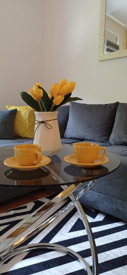 סרמסקה מיטרוביקה Apartman Sunflower מראה חיצוני תמונה