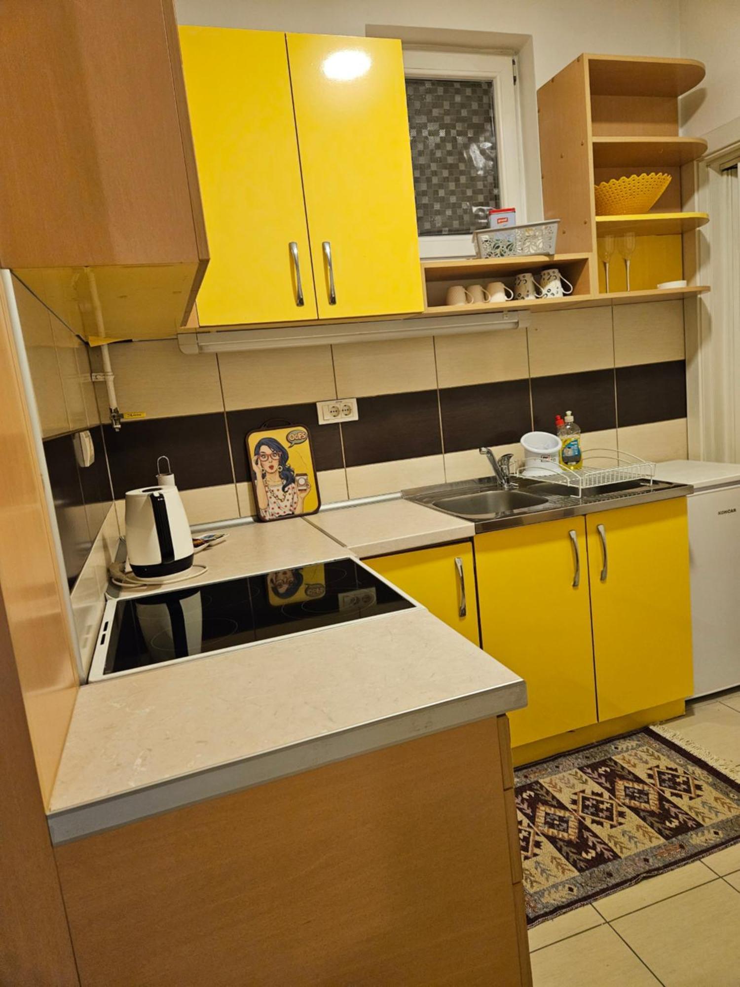 סרמסקה מיטרוביקה Apartman Sunflower מראה חיצוני תמונה